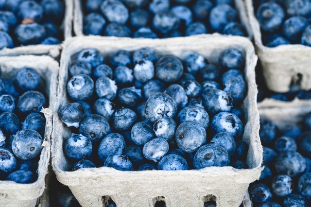 blue-blueberry-delicious-fruit-90756.jpeg