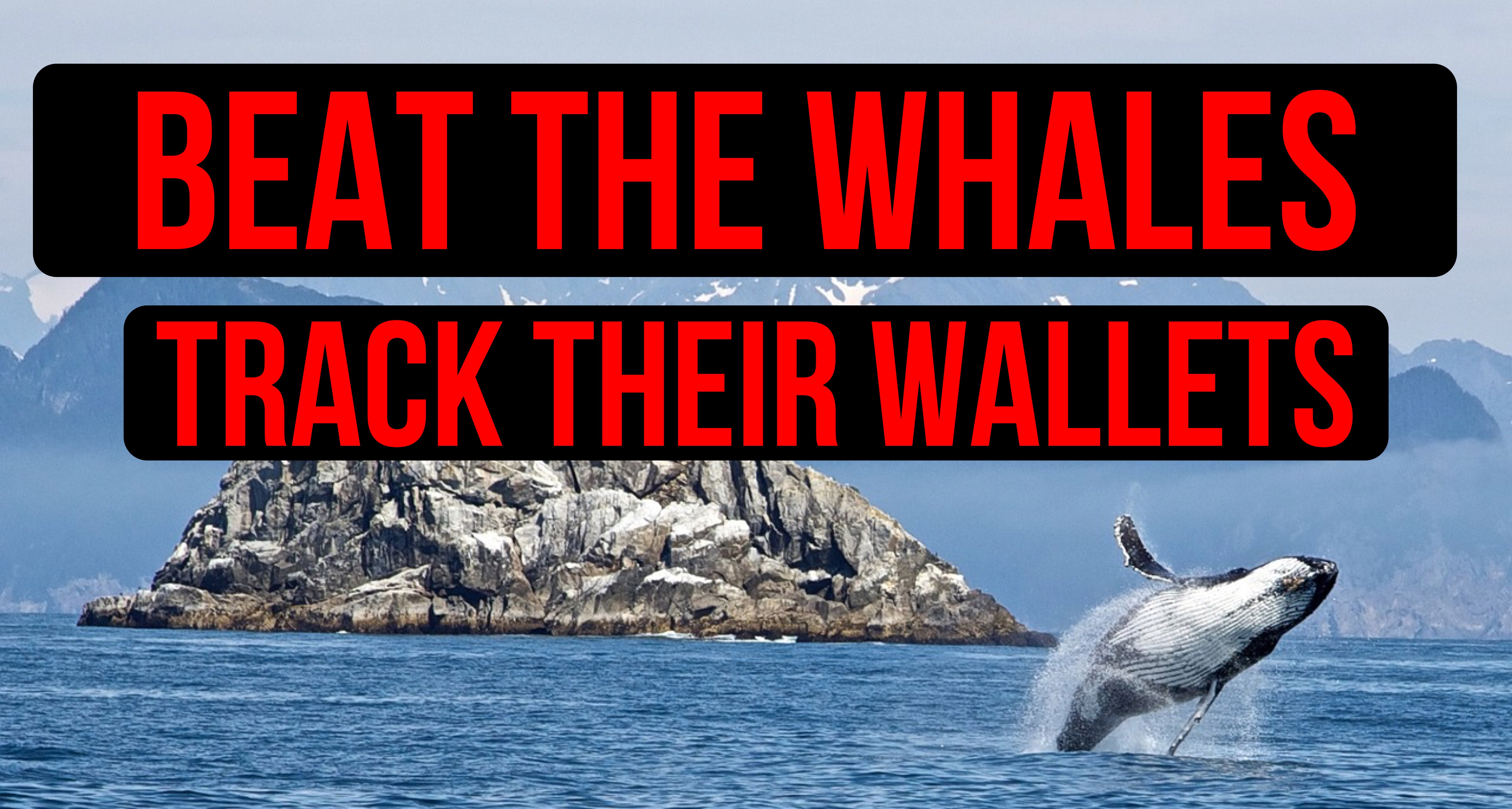 whales.jpg
