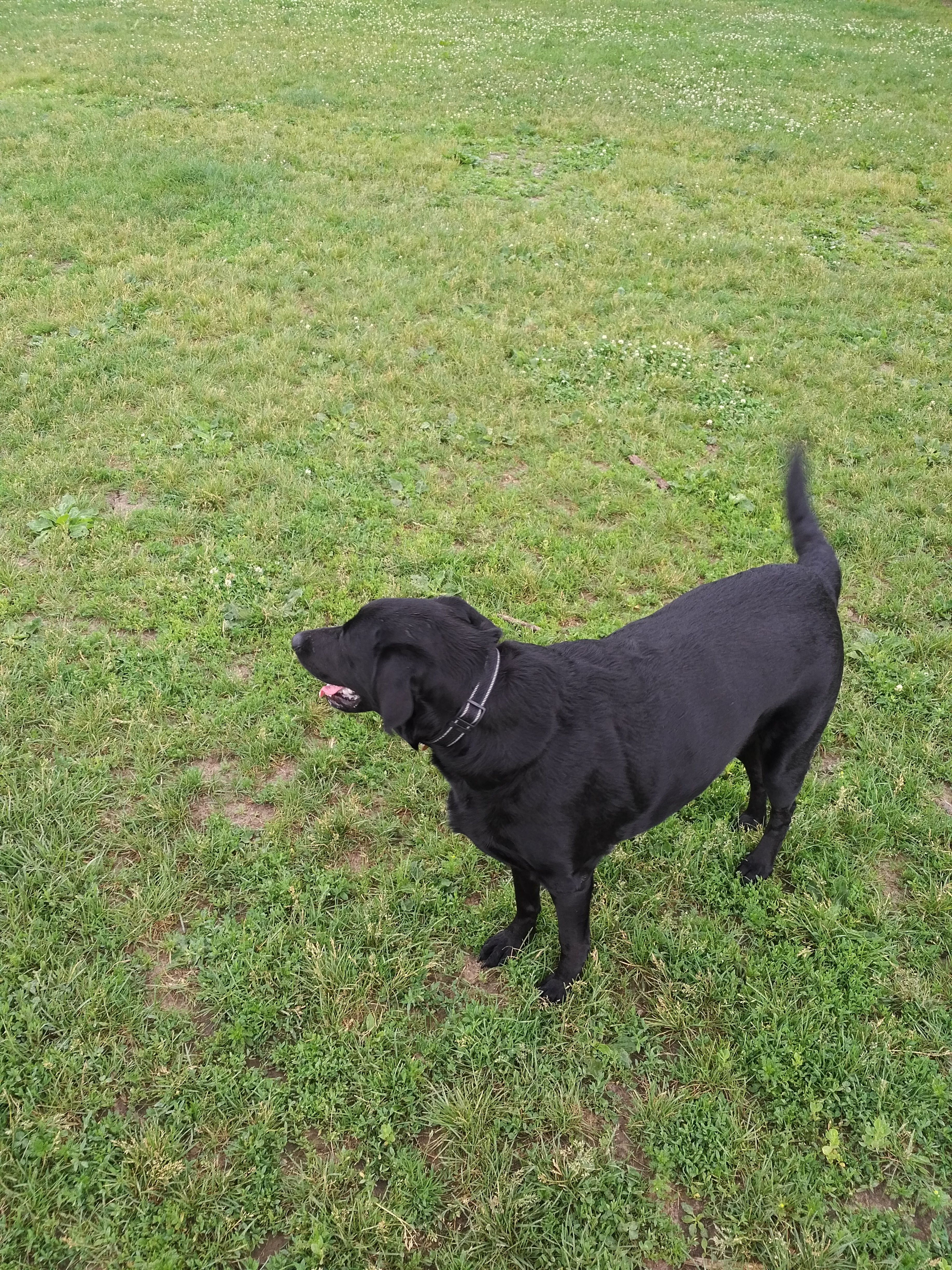 IMG_20170620_1804432.jpg