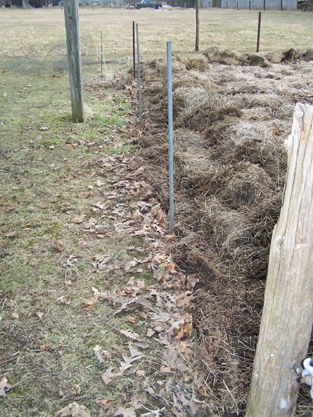 Big garden - fence down, mulch moved2 crop Feb. 2018.jpg