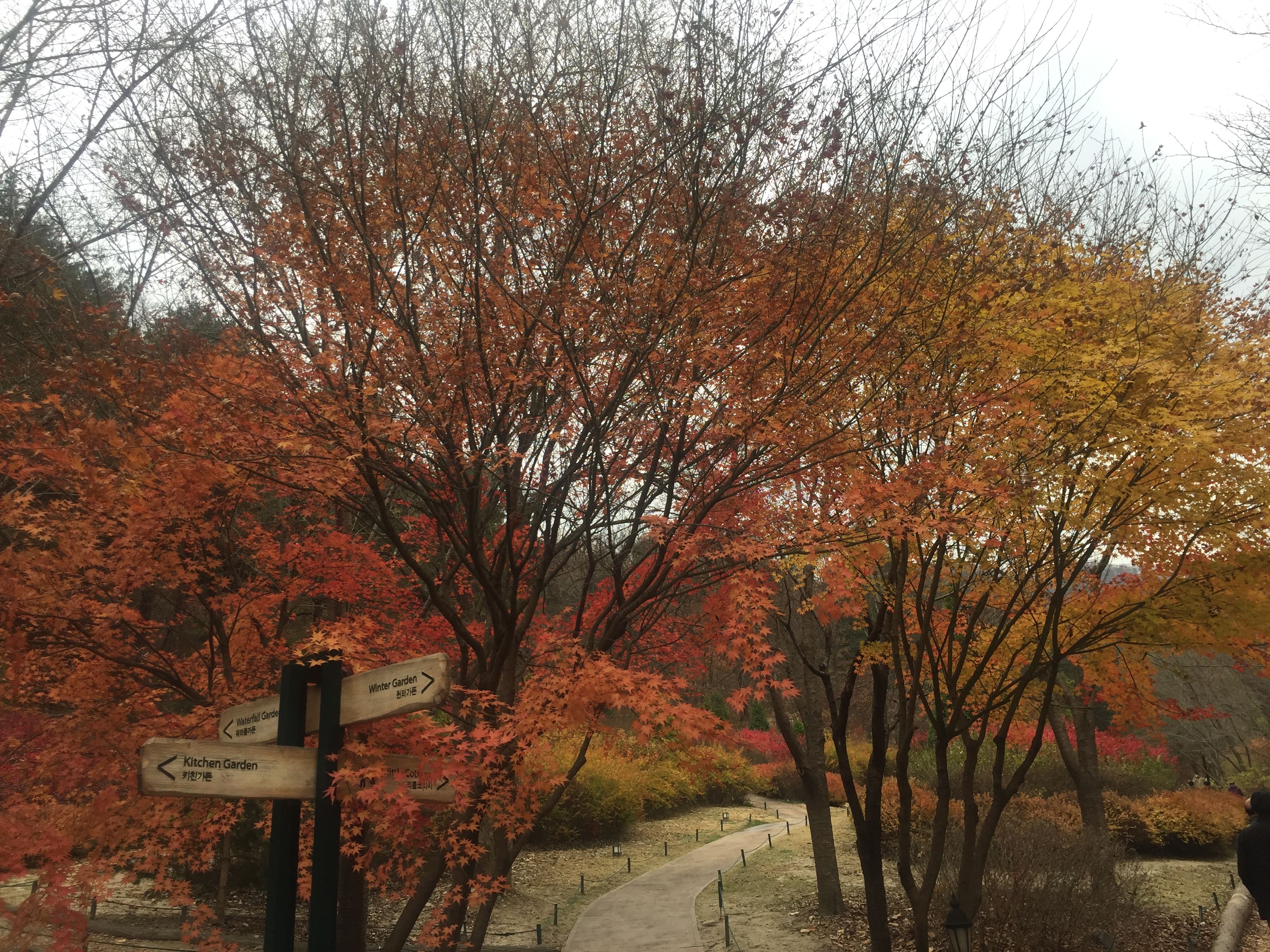 KakaoTalk_2017-11-12-16-04-13_Photo_60.jpeg