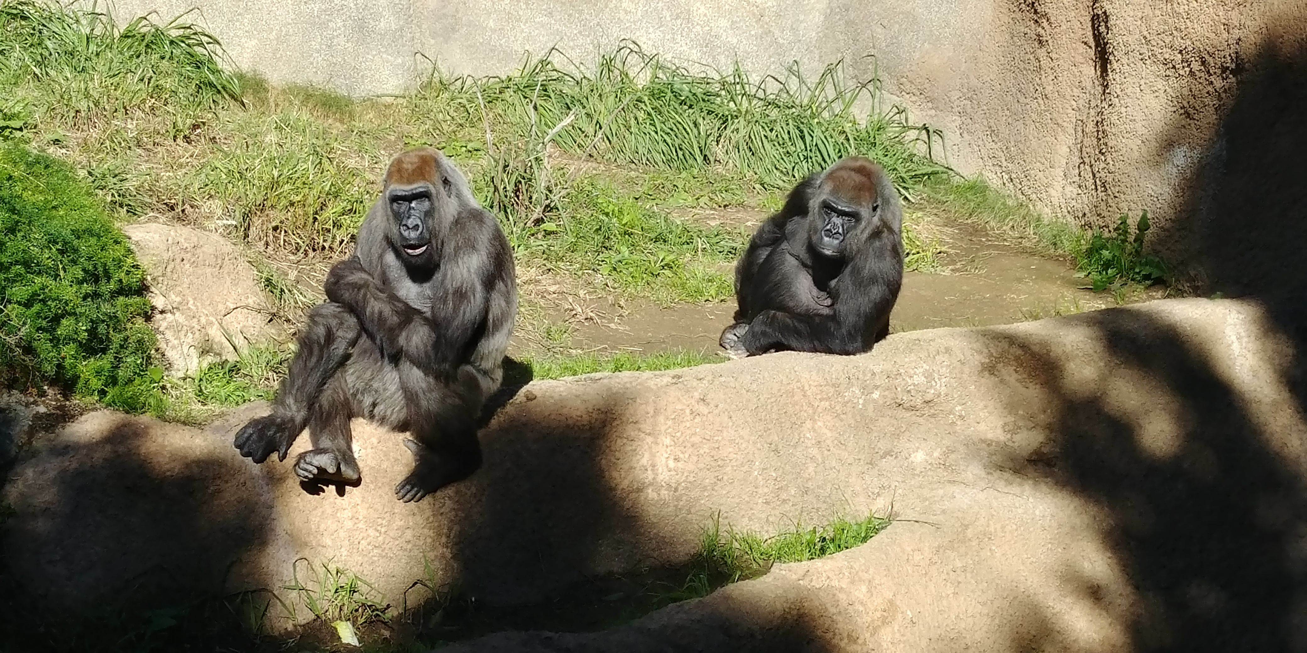 20180126_121658_HDR.jpg