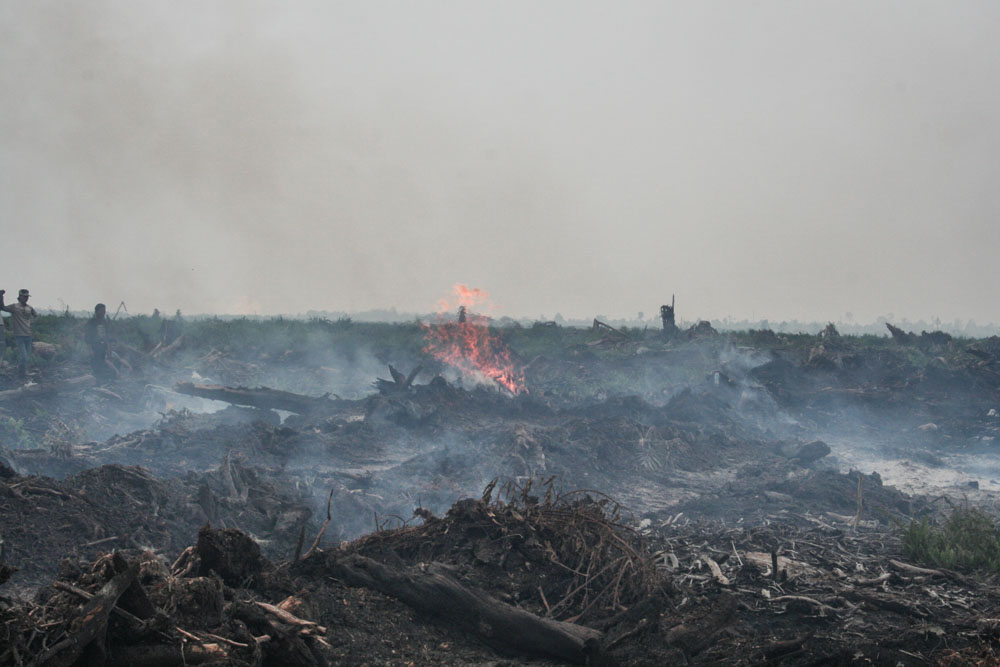 img-burning-peat-indonesia-1000x667.jpg