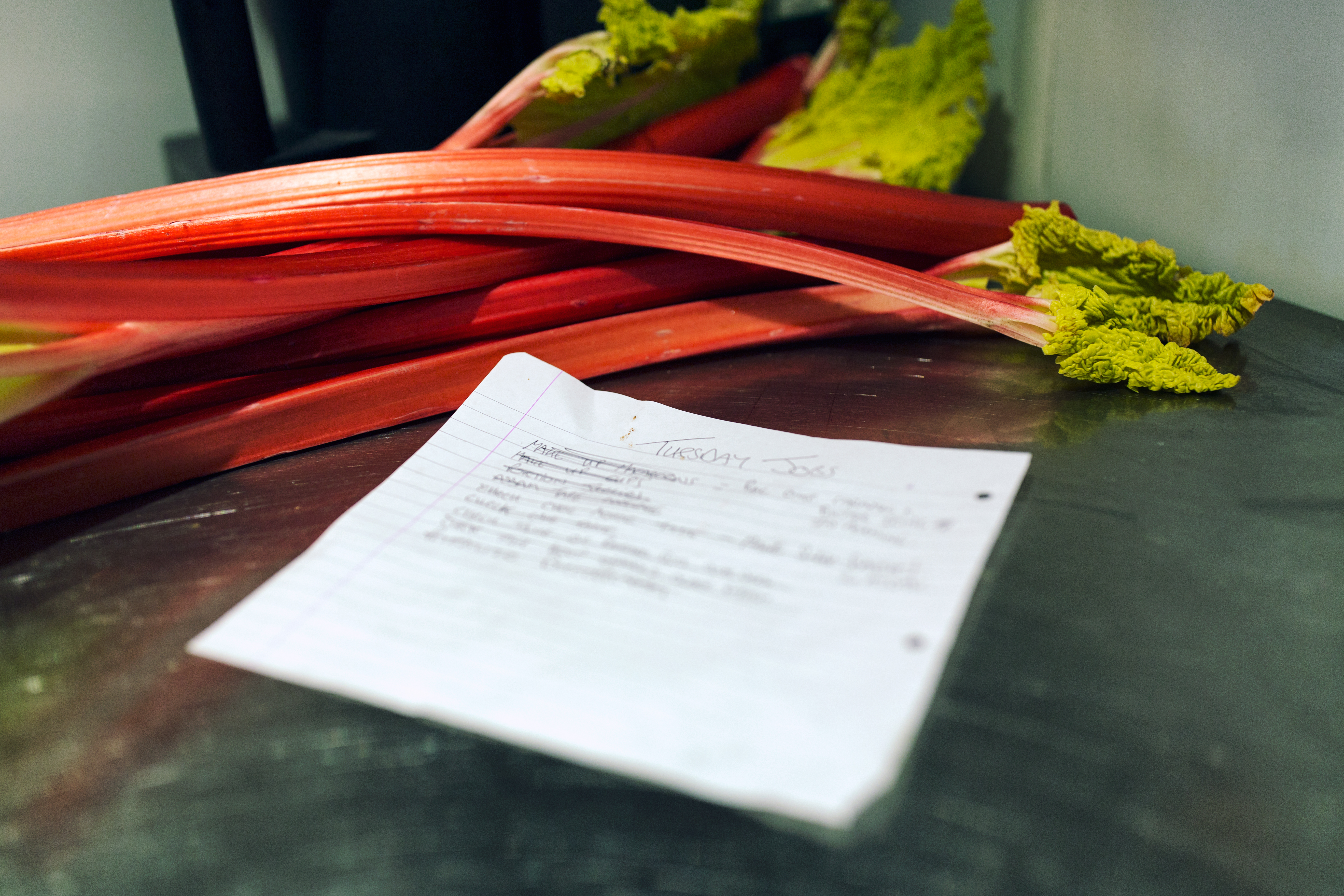 rhubarb1.jpg