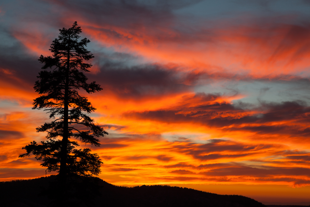 Blackwood Canyon Sunset 1.jpg