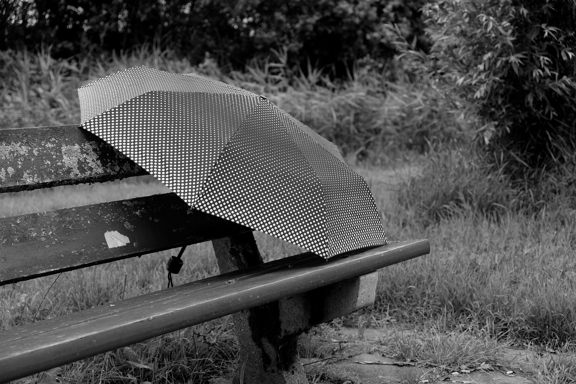 black and white-polkadot-umbrella-bench.jpg