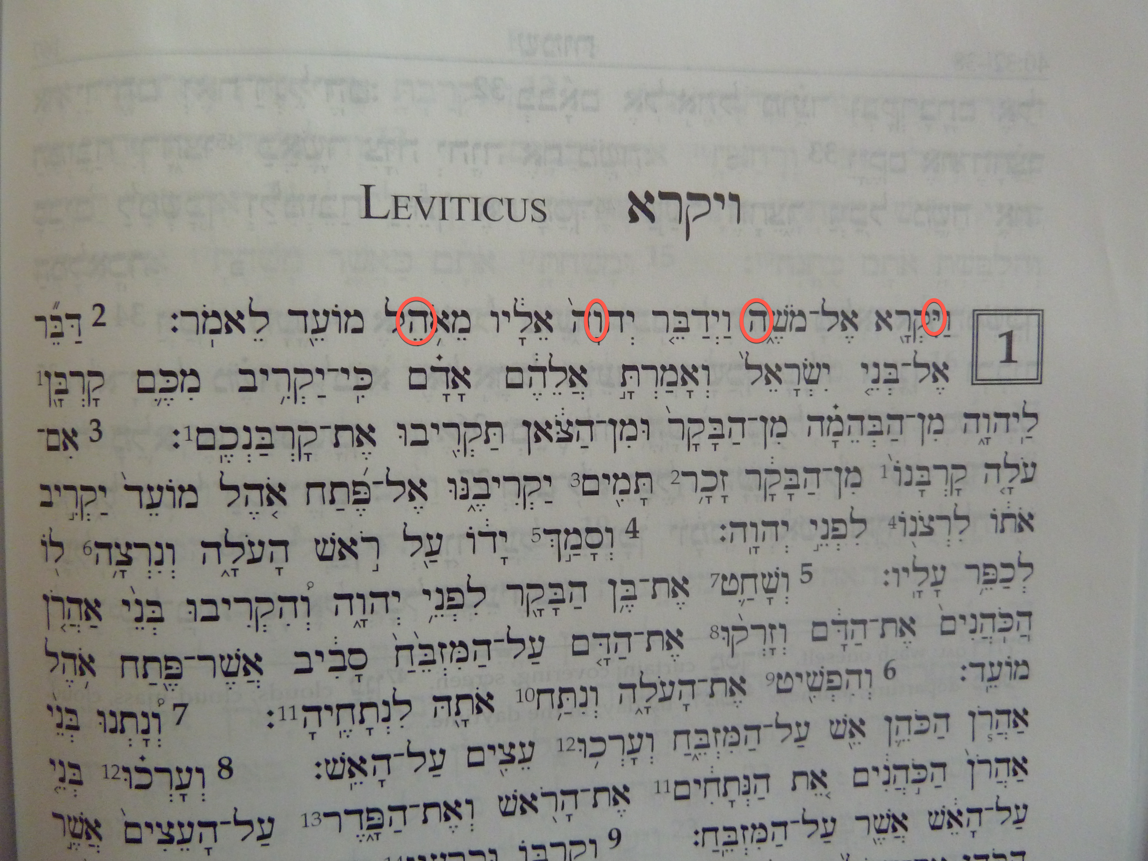 3- Leviticus3_49ok.png