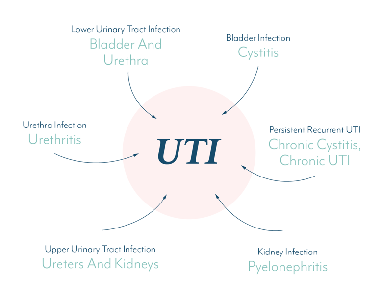 UTI, lower back pain/groin pain?? Is this normal with a ...