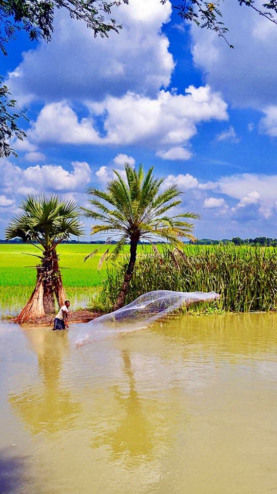 Bangladesh.jpg