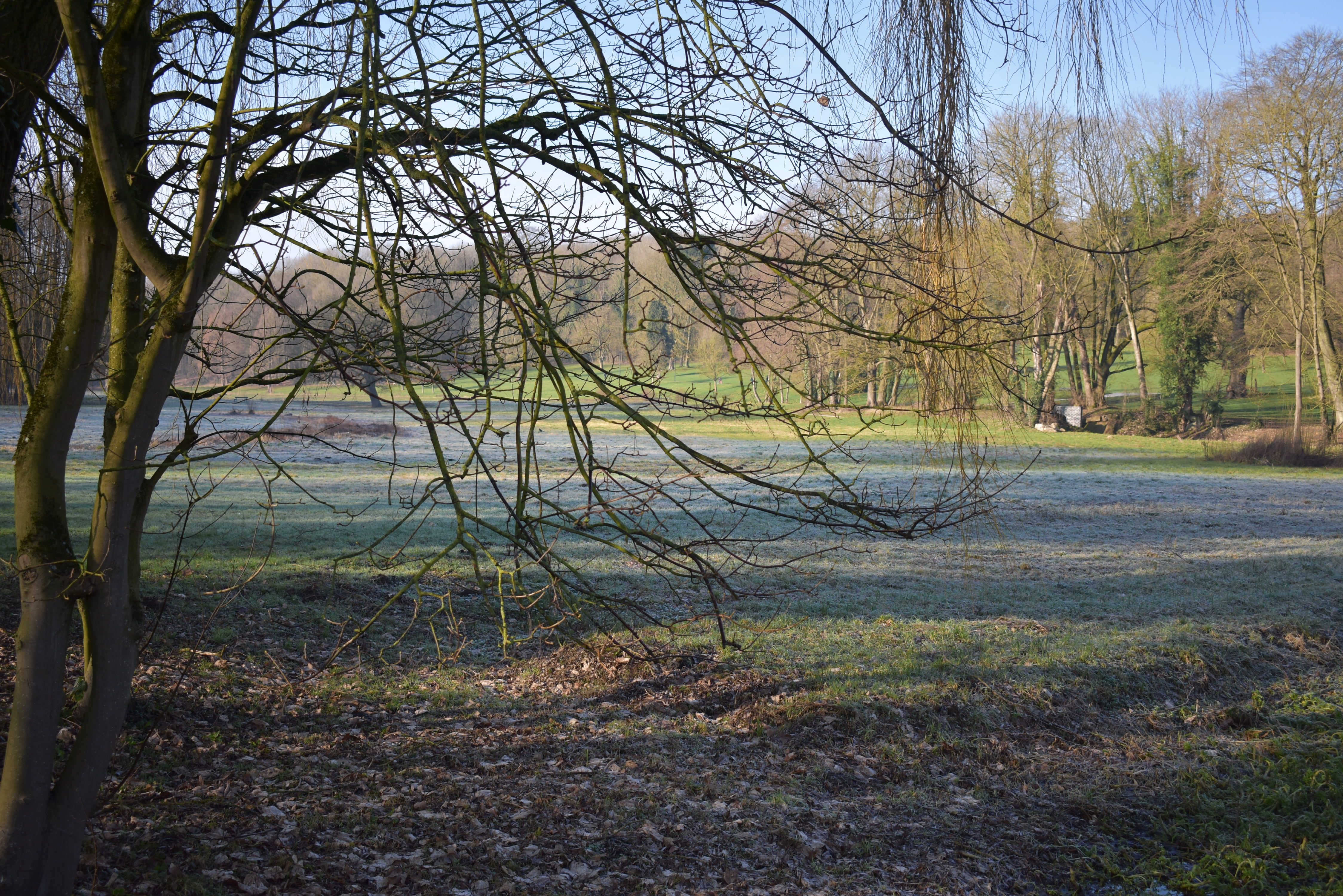 DSC_0109.JPG