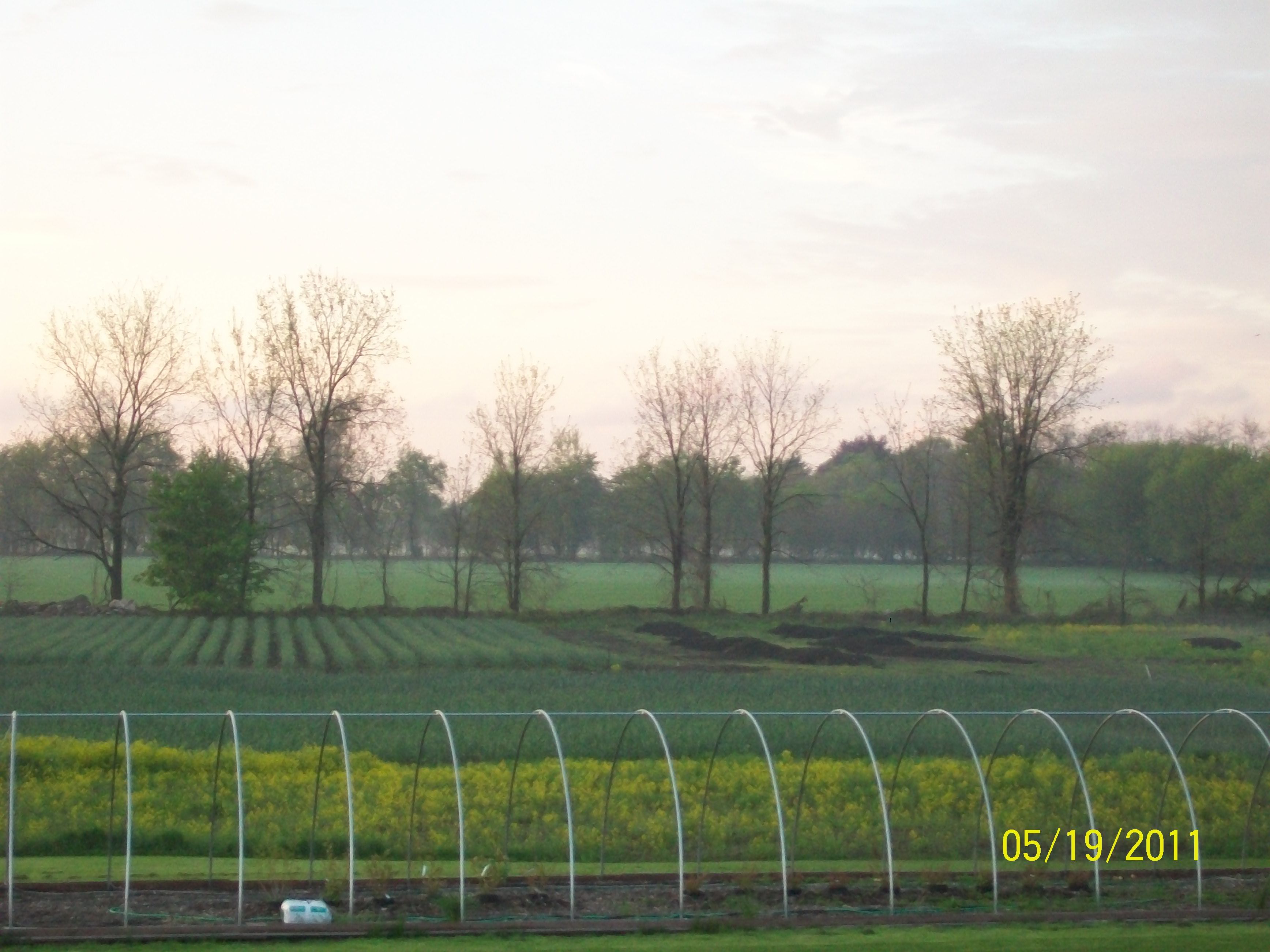 Farm_summer20110519_357.JPG