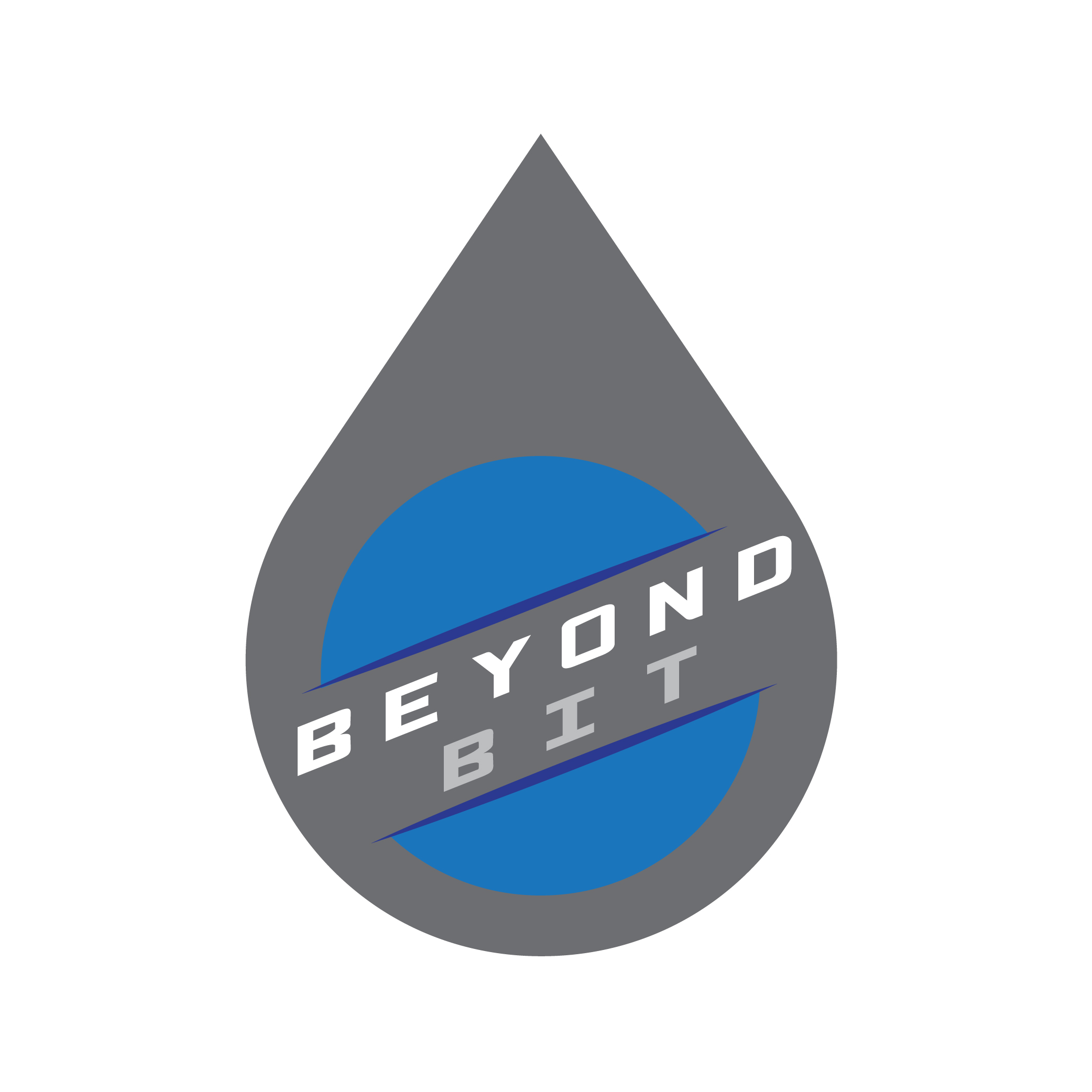 beyondbit-01.jpg