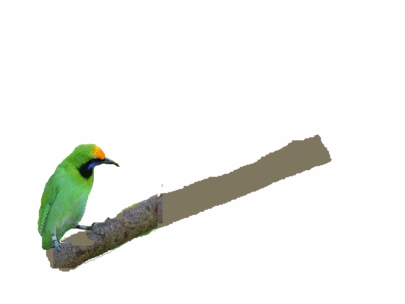 Https Encrypted Tbn0 Gstatic Com Images Q Tbn 3aand9gcqxw85vuvfijbfuytnhlyio4zykmn3clu K Dgppi Kcczcdugs