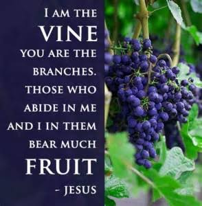Go And Bring Forth Fruit! — Steemit