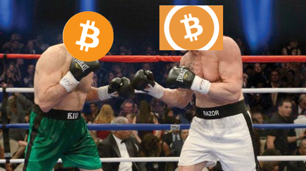 bitfight.png