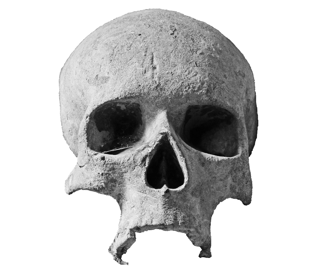 skull-2636836_1280 (1).png