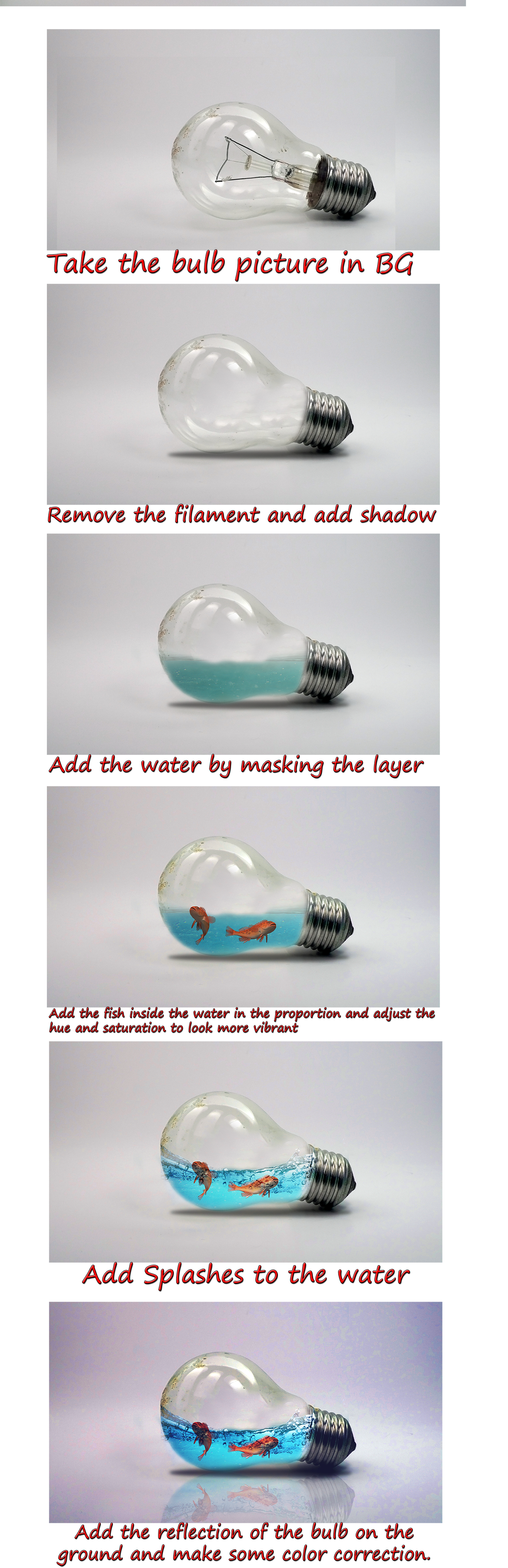 light bulb.png