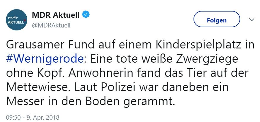 zwergziege.jpg