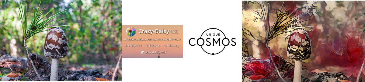 crazydaisy-before-after-UniqueCosmos.jpg