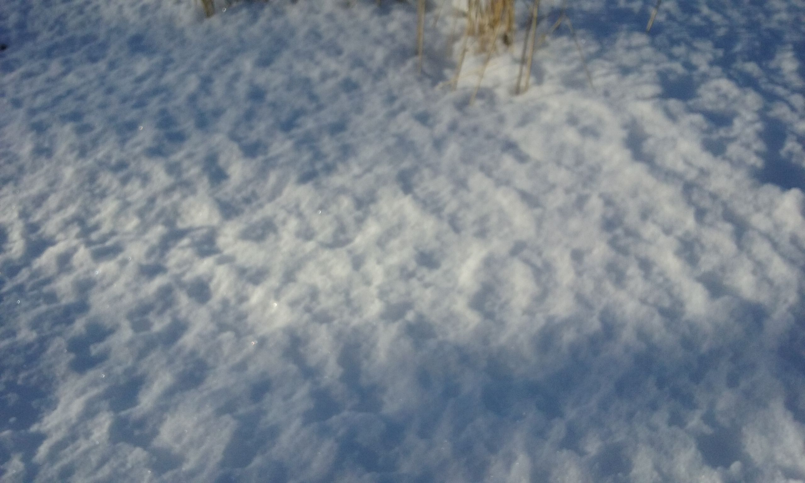 20180226_170701.jpg