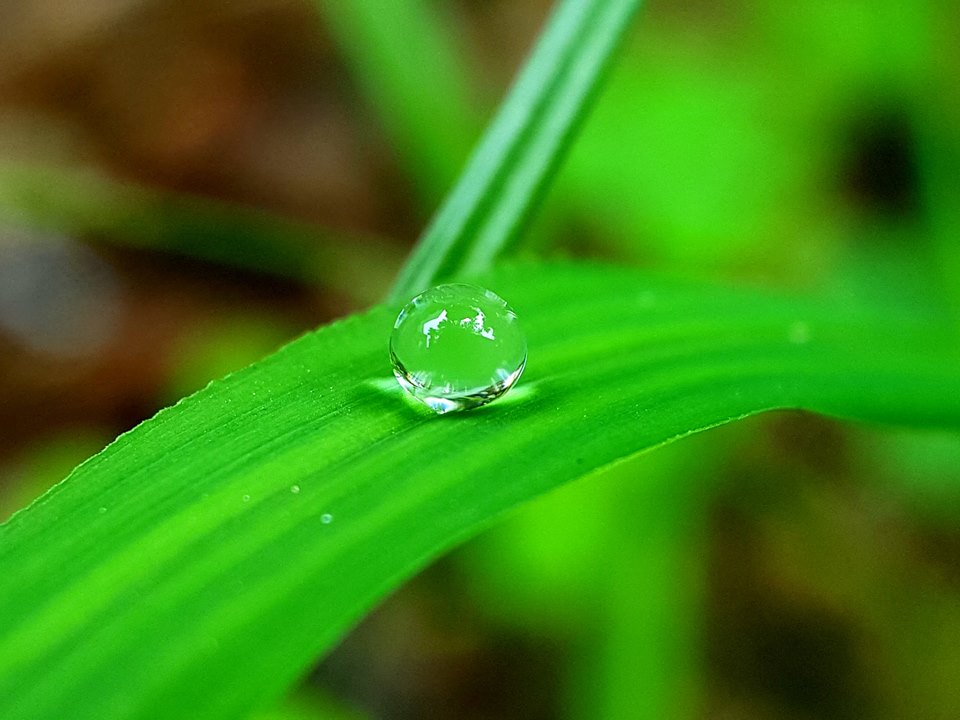 Water drop.jpg