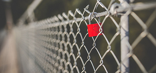 《飞鸟与夏花》每天一首自译飞鸟集（147/325） - Translate a poem form Stray Birds everyday