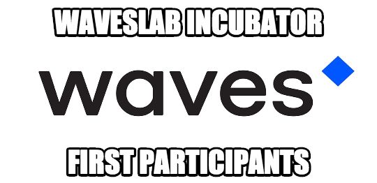 waveslabincubator.jpg