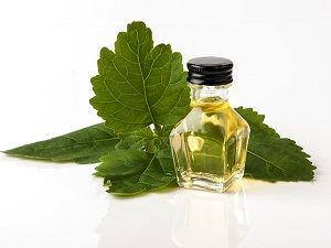 Light Patchouli Oil.jpg