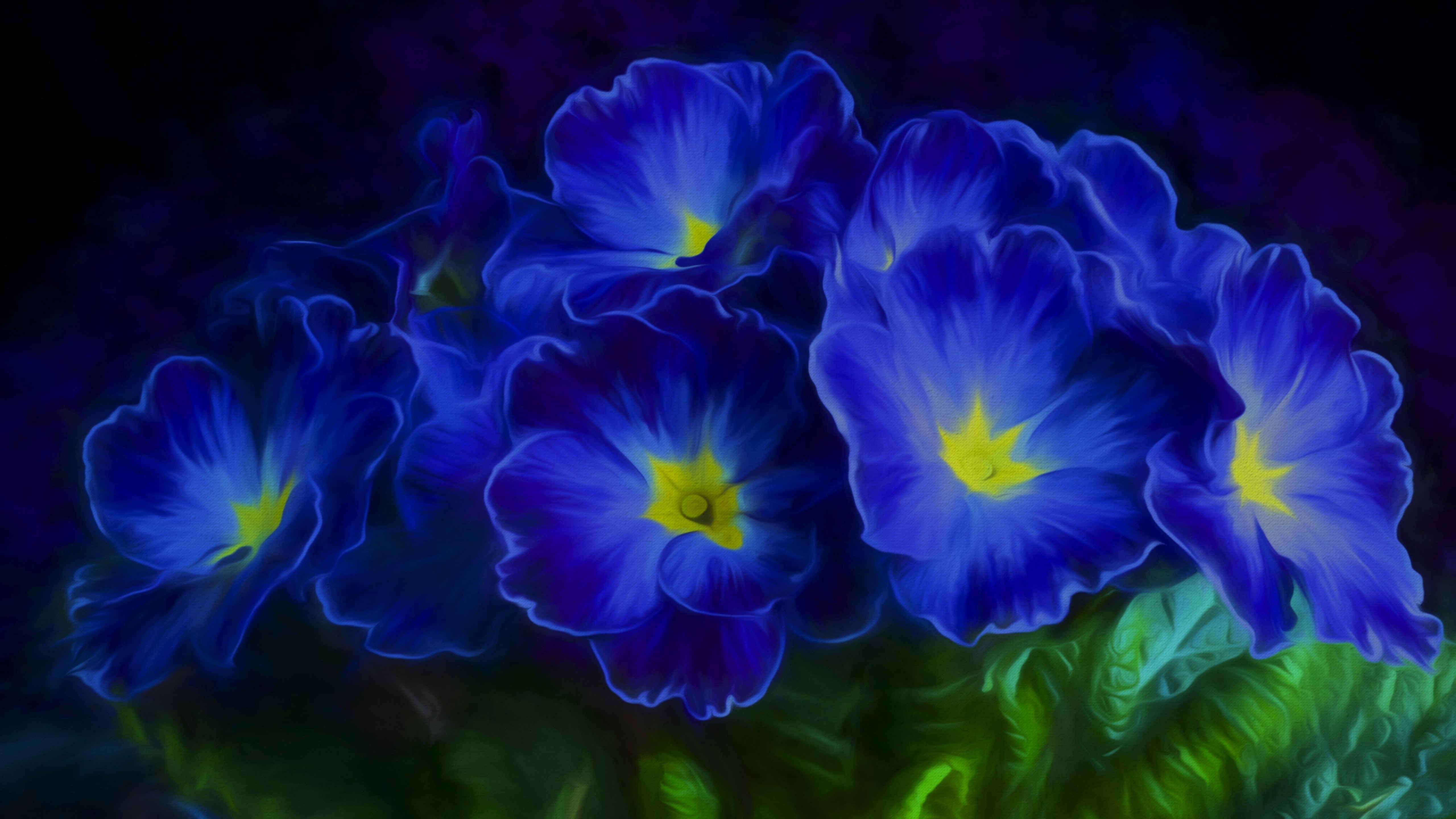 primrose-blue-flowers-5120x2880-hd-4k-6357.jpg