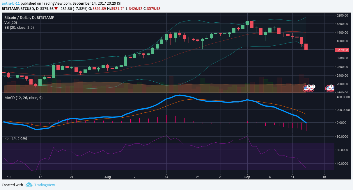 BTC-Bull-market.png