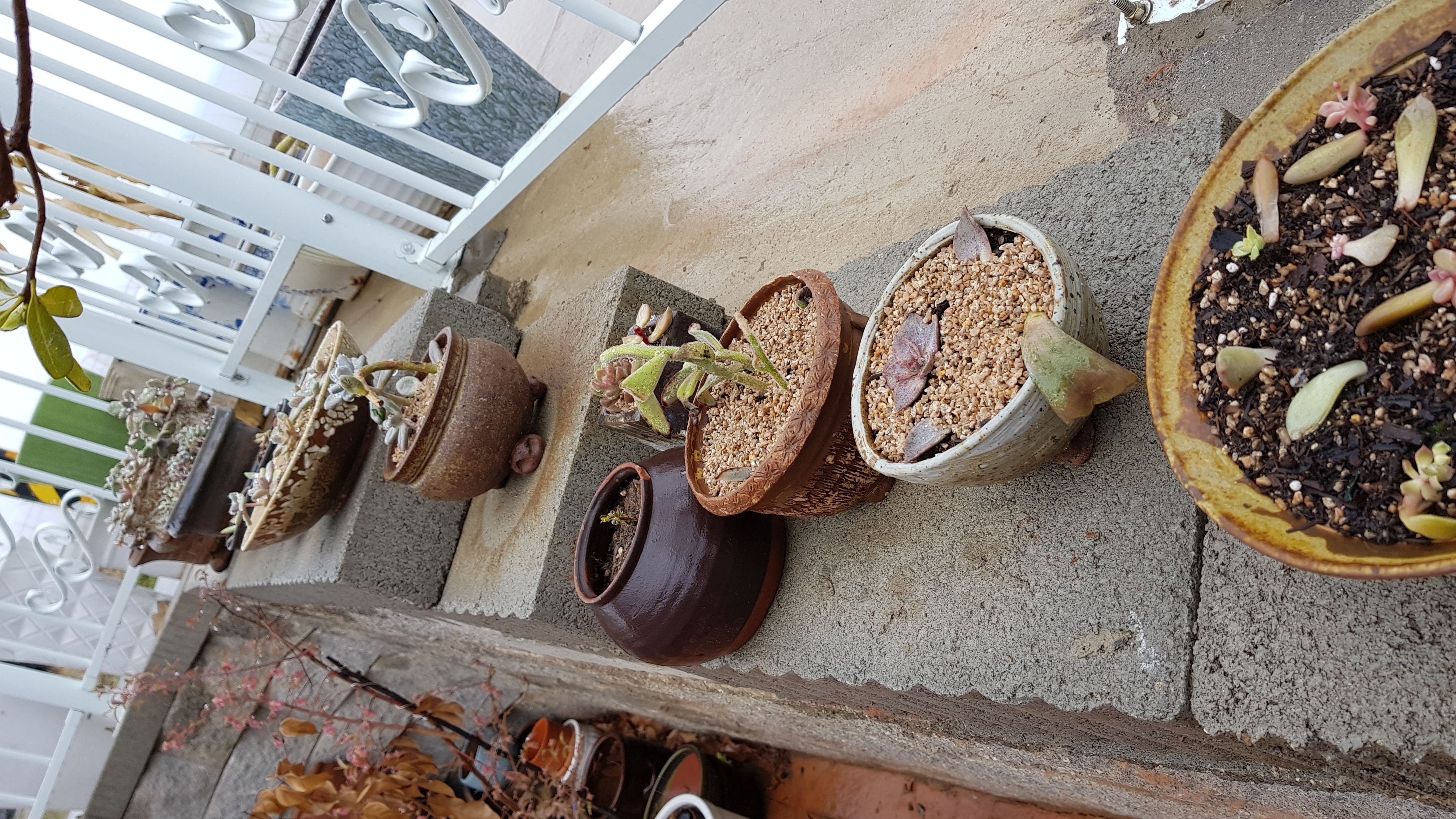 20180414_113744.jpg