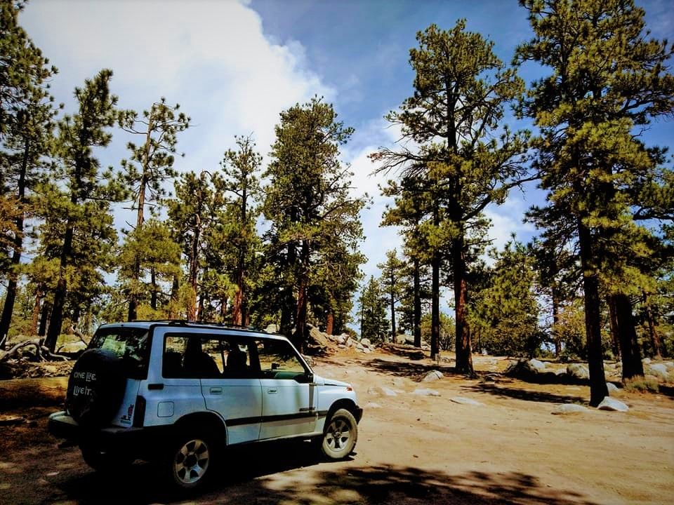 syd in front trail 2 (2).jpg