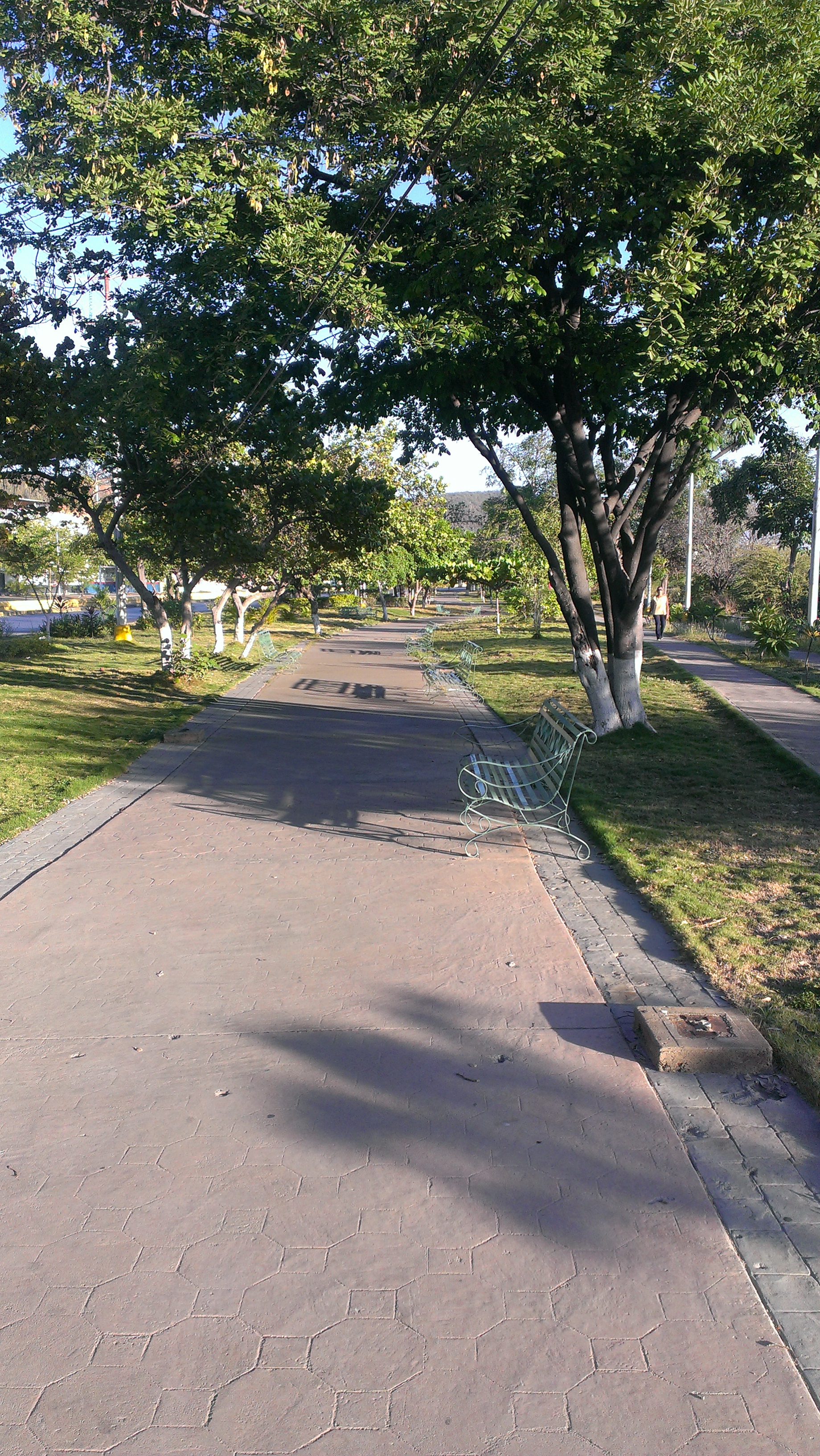IMAG0291.jpg