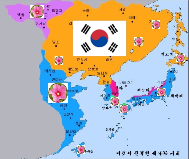 korean flag real.JPG