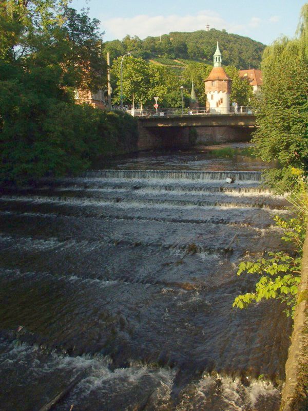 2017-09 - Dreisam Freiburg.jpg