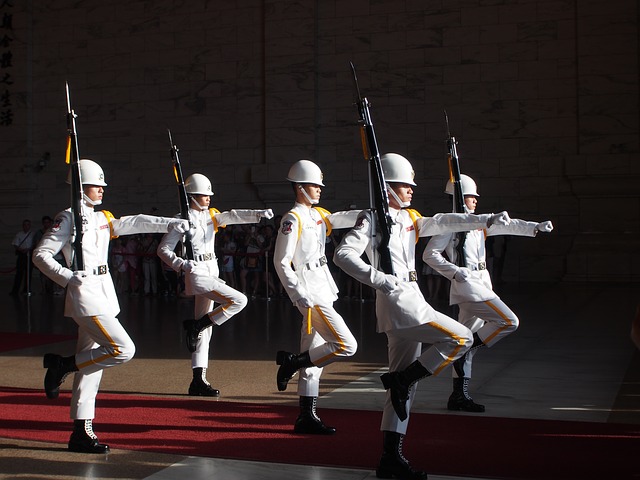 goose-step-836735_640.jpg