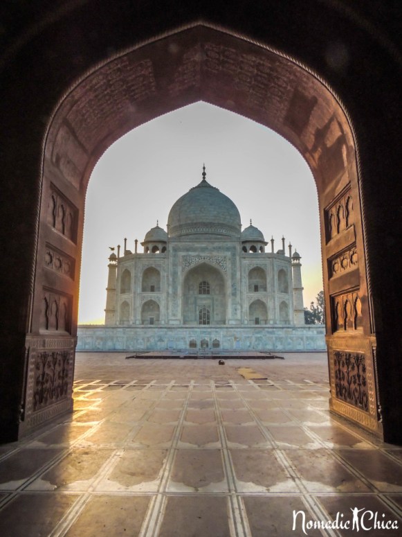 Taj-Mahal-9103-768x1024.jpg