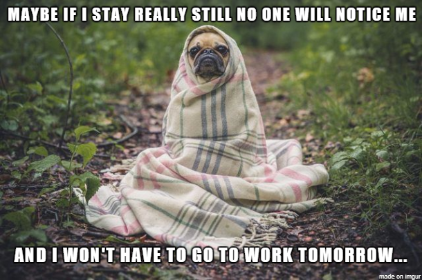 puglife.png