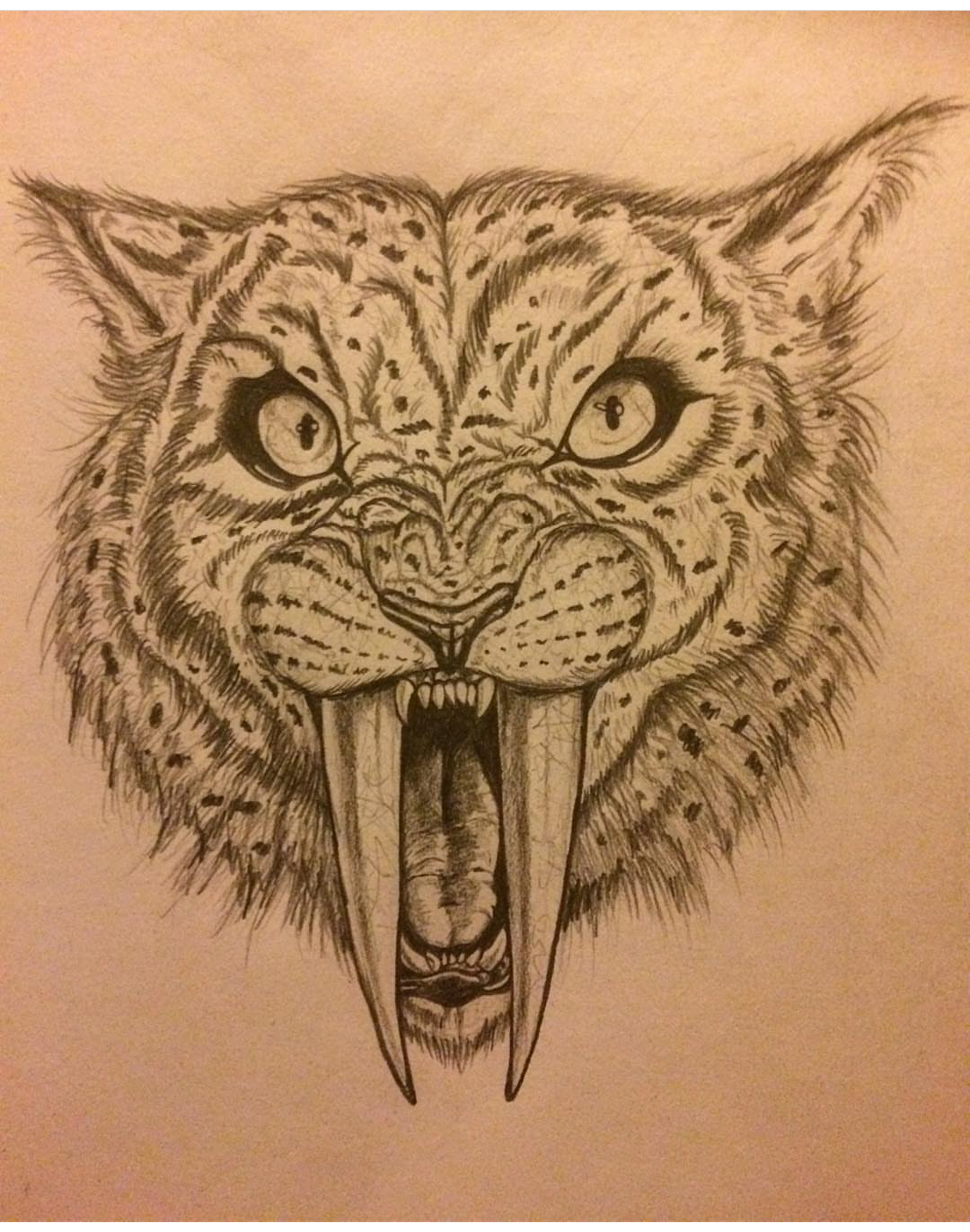 Sabre-Tooth Tiger Sketch by tungro -- Fur Affinity [dot] net