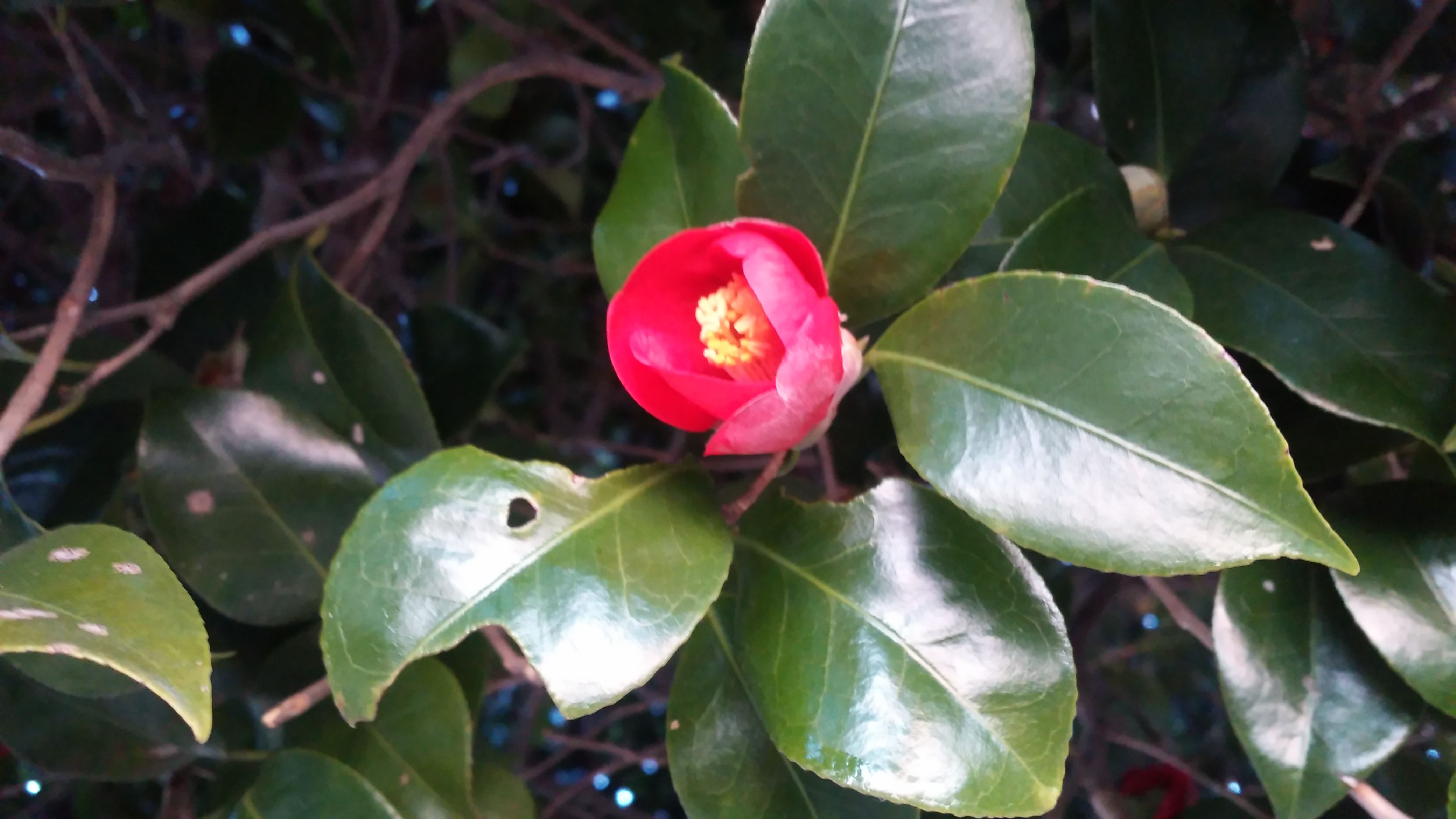 20160110_172119.jpg