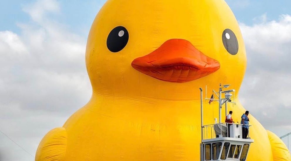 Rubber-duck-1.jpg