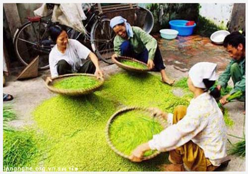 Cốm làng vòng (1).jpg