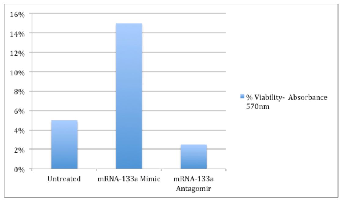 Figure 1.jpg