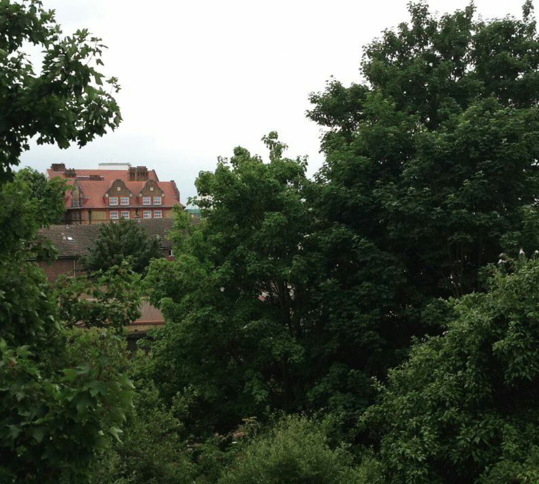 photo5789732914668350317 (1).jpg