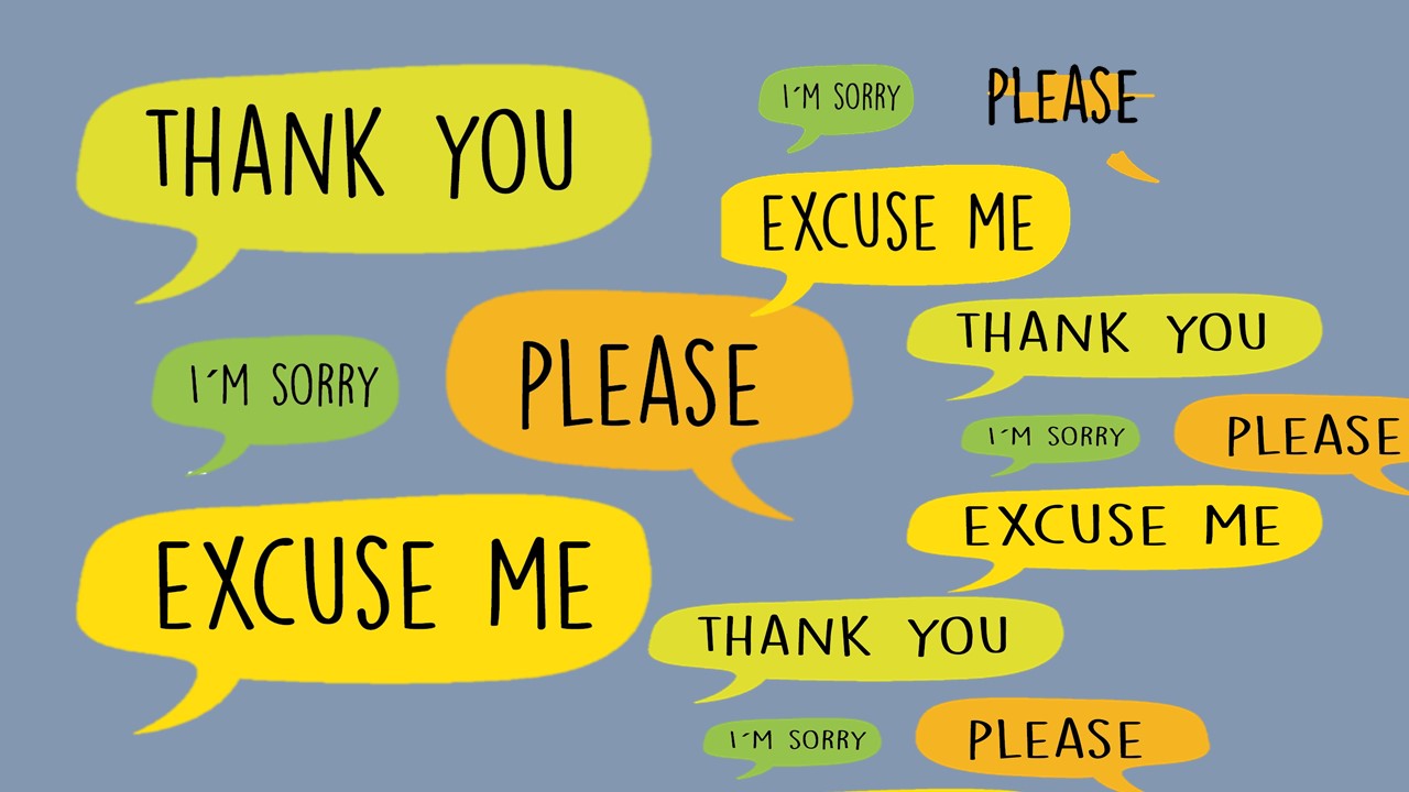 sorry please thank you by charles yu used