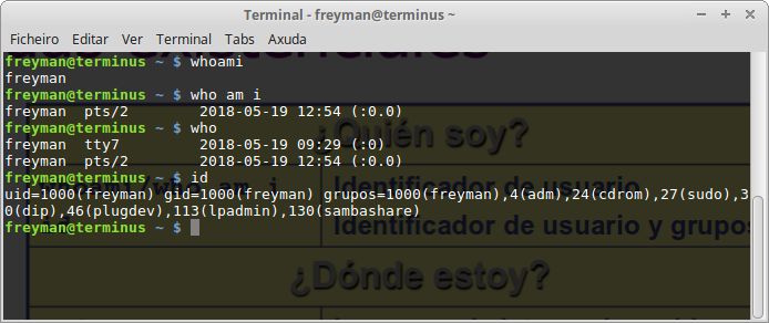 captura_pantalla_terminal_linux_who