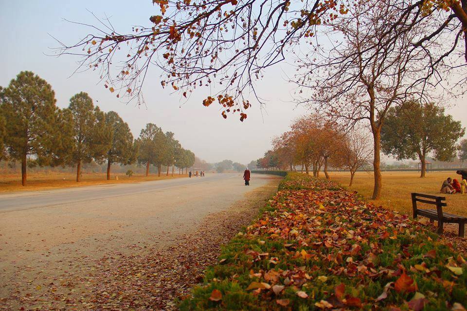Spring-and-Autumn-seasons-in-Islamabad.jpg