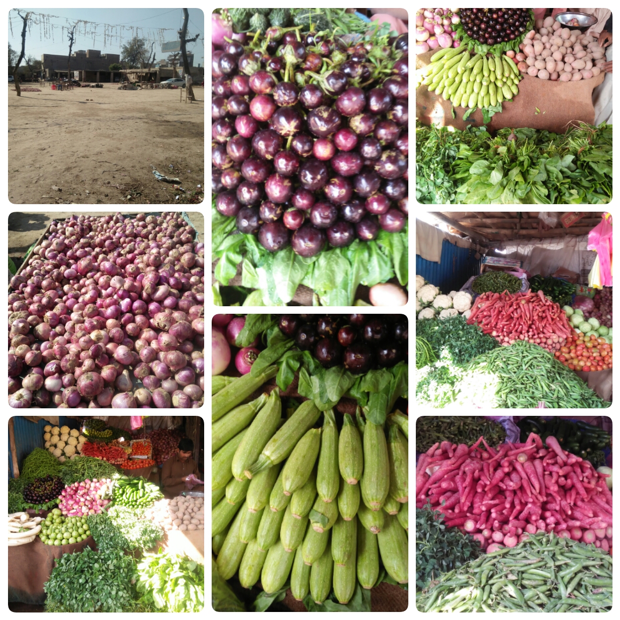 SnapPic Collage_20182713542110.jpg