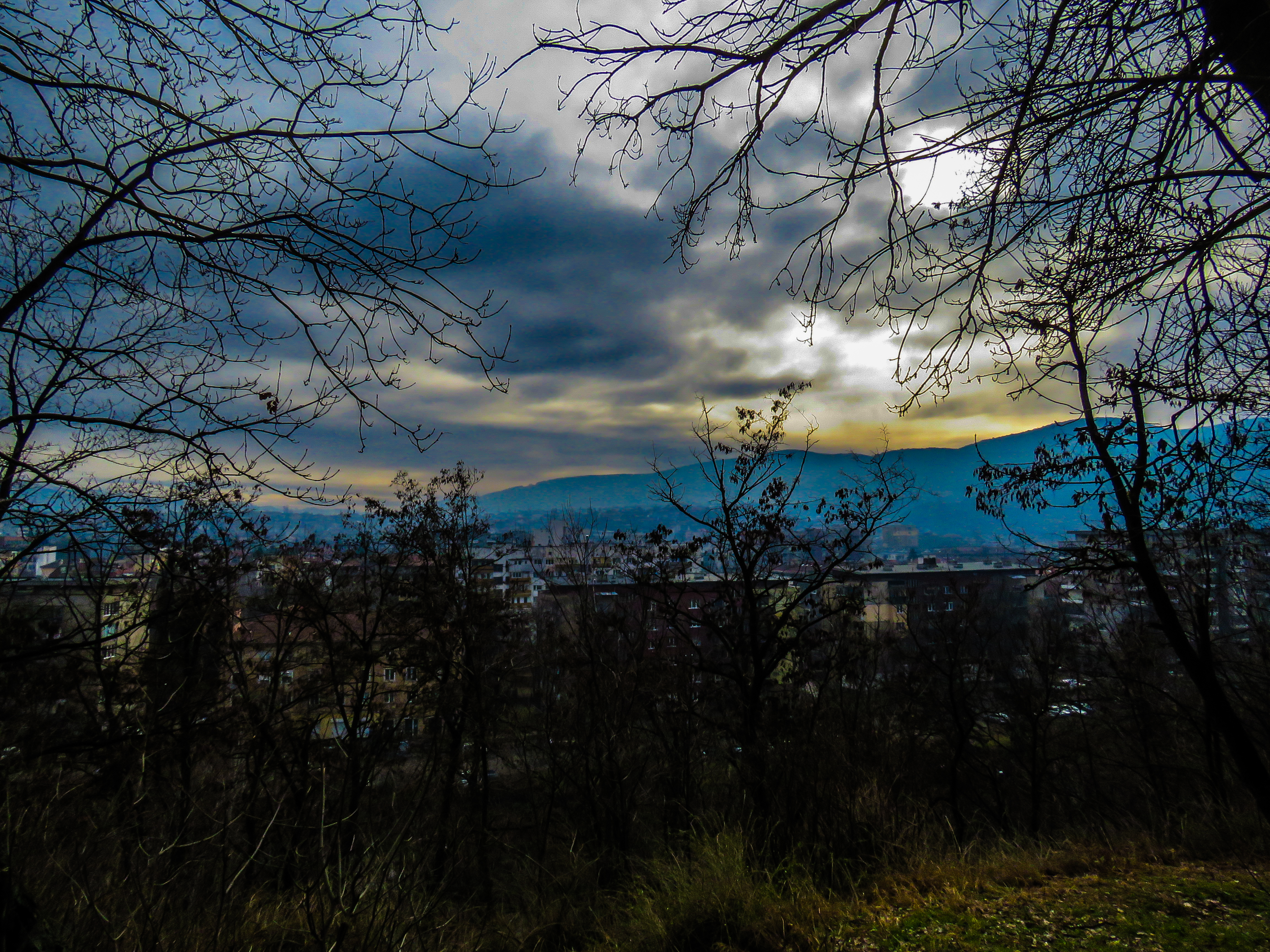 IMG_4581.JPG