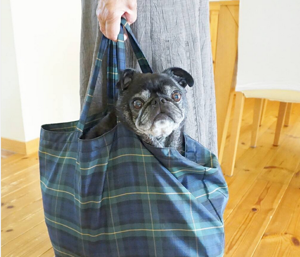 puginabag.png